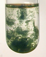 Dark green precipitate of iron(II) hydroxide