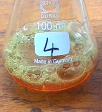 Sodium hydrogencarbonate neutralises the acid catalyst causing effervescence