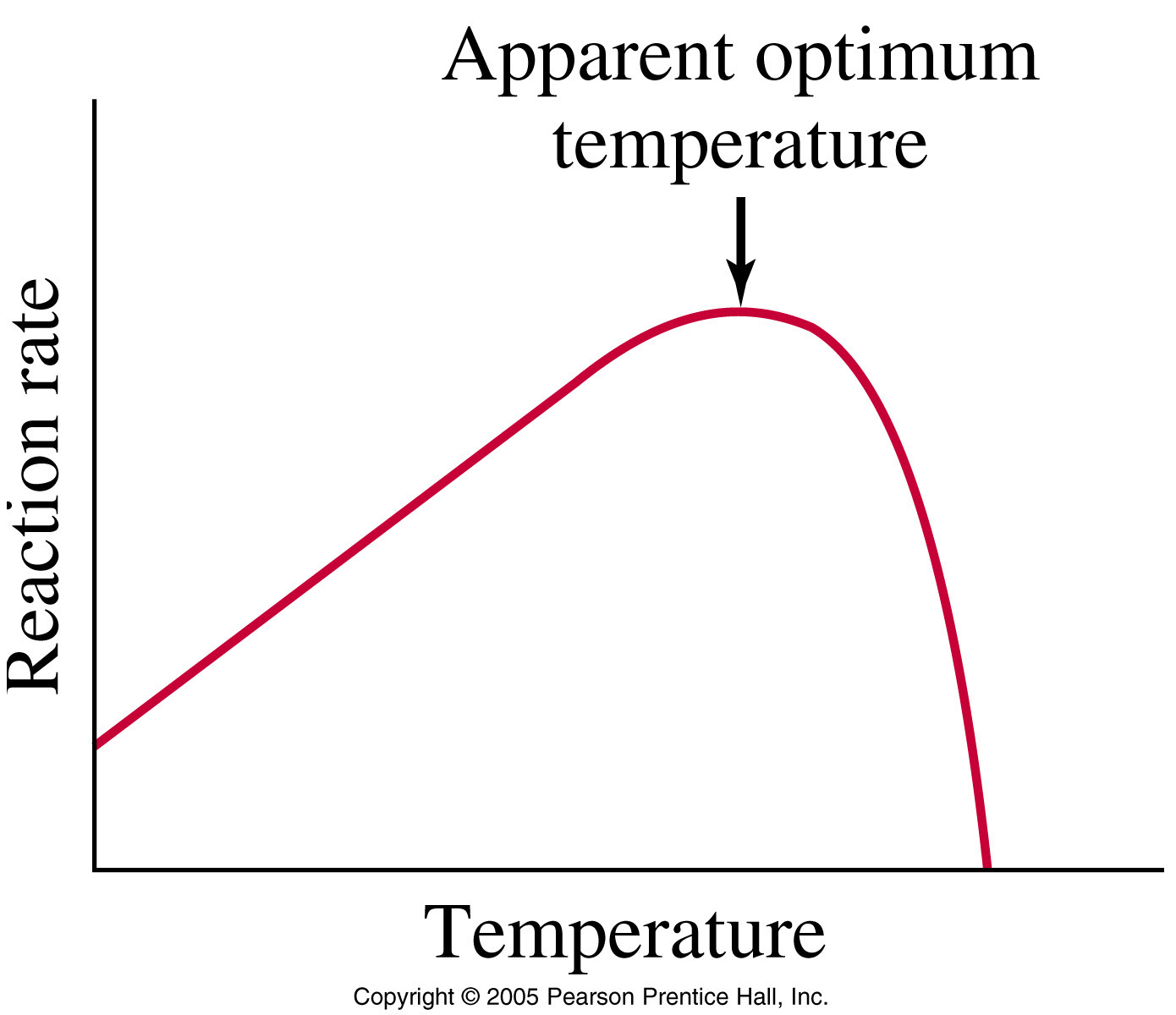 ../6-Kinetics_Photos/FG13_25.JPG